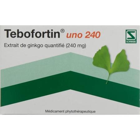 Tebofortin uno 240 film-coated tablets 240 mg 40 pcs - PrimeCare Global