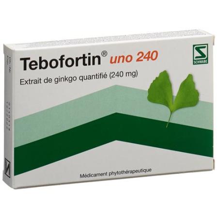 Tebofortin uno 240 film-coated tablets 240 mg 40 pcs - PrimeCare Global