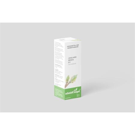 SN Juglans regia Glyc Maz DH 1 - PrimeCare Global