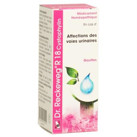 Reckeweg R18 Cystophylin drops bottle 50 ml - PrimeCare Global