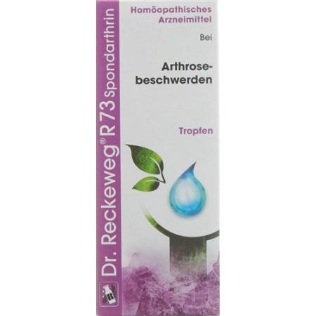 Reckeweg R73 Spondarthrin drops bottle 50 ml - PrimeCare Global