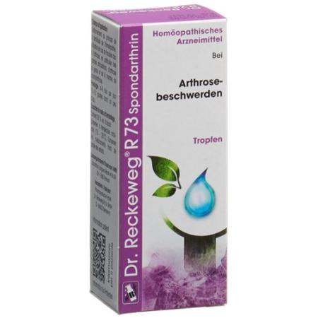 Reckeweg R73 Spondarthrin drops bottle 50 ml - PrimeCare Global