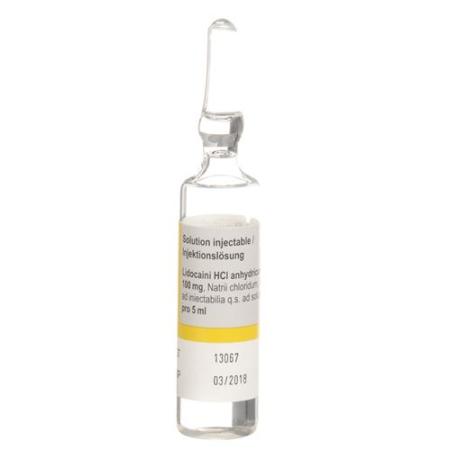 Rapidocain 2% Inj L&ouml;s 100 mg/5ml without preservatives 10 Am - PrimeCare Global