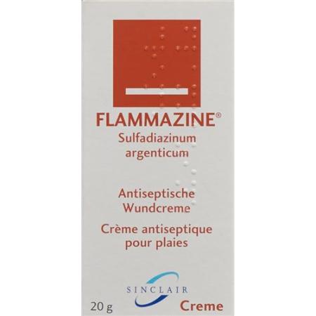 Flammazine Cream Tb 50 g - PrimeCare Global