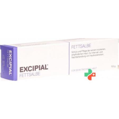 Excipial 100 g Fett-Salbe - PrimeCare Global