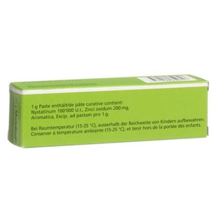 Multilind healing paste 20 g - PrimeCare Global
