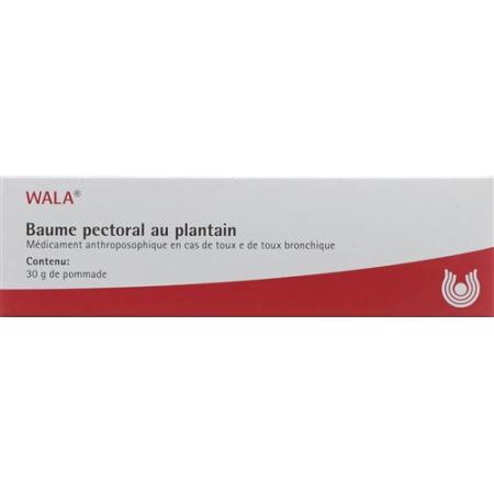 Wala Plantago Bronchial Balm Tb 30 g - PrimeCare Global