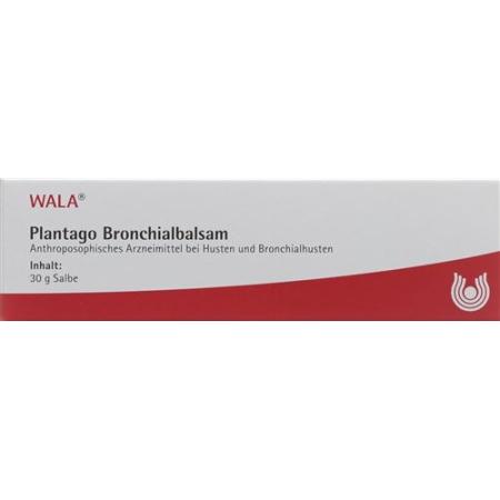 Wala Plantago Bronchial Balm Tb 30 g - PrimeCare Global