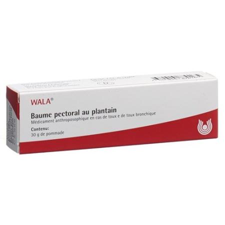 Wala Plantago Bronchial Balm Tb 30 g - PrimeCare Global