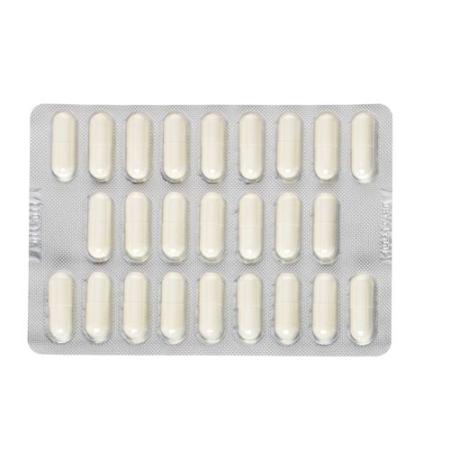 Ursofalk Kaps 250 mg 50 pcs - PrimeCare Global