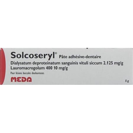 Solcoseryl Dental Adhesive Paste Tb 5 g - PrimeCare Global
